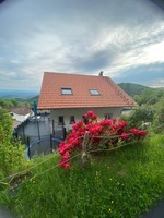 BLICK BLICK